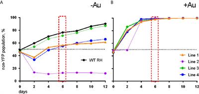 Auranofin Resistance in Toxoplasma gondii Decreases the Accumulation of Reactive Oxygen Species but Does Not Target Parasite Thioredoxin Reductase